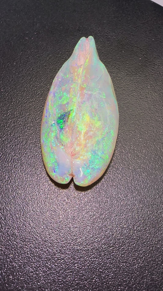 The VAG (Fossilized Opal)